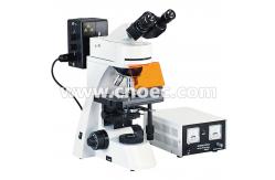 China 100X Wide Field Fluorescence Microscope Trinocular Compound Microscopes A16.0203 supplier