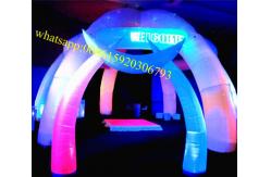 China inflatable LED ivory tusk arch supplier