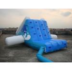 Factory Direct Shipping Aqua Inflatable Water Park Slide for Kids for sale