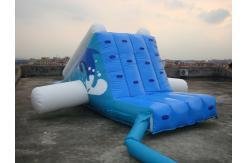 China Factory Direct Shipping Aqua Inflatable Water Park Slide for Kids supplier