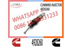 China Engine Parts ISX15 QSX15 Common Rail Fuel Injector 4928260 2874505 4903472 supplier