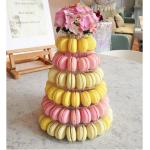convenient and eco-friendly Plastic Macaron Tower new premium macaron box clear macarons blister packaging in custom des for sale