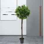 Height 160cm Artificial Potted Floor Plants Plastic Laurel Tree for sale