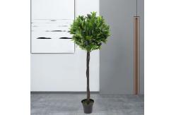 China Height 160cm Artificial Potted Floor Plants Plastic Laurel Tree supplier