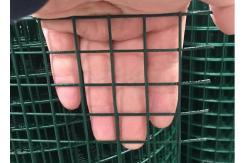 China Green 2x2 Pvc Coated Welded Wire Mesh Machinery Guard And Tomato Cages supplier