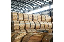 China Concentric Cable manufacturer