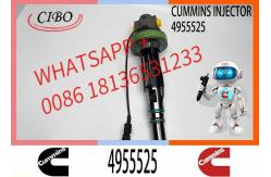 China Diesel QSK19 Engine Common Rail Fuel Injector 4955524 4955525 2867149 2882079 4964173 supplier