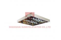 China Ceiling Acrylic Transparency Passenger Elevator White Arch Light Emitting Panel supplier