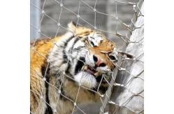 China Zoo Mesh Fence Stainless Steel Wire Rope Mesh Net High Strength supplier
