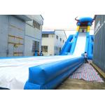 Customized Size Commercial Outdoor Inflatable Slide With Silk Printing