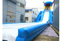 China Customized Size Commercial Outdoor Inflatable Slide With Silk Printing supplier