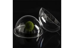 China Small Series Clear Coating Camera Acrylic Dome Lens For Cellphone supplier
