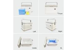 China White Medical Cooler Box 8L Medical Cool Box With Thermometer supplier