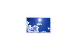 China LCD Touch Screen 6.7 inch BM6670LT1-1 LCD Panel supplier