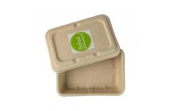 China Molded Sugarcane bagasse Throw Away Meal Prep Containers , Biodegradable Salad Boxes supplier