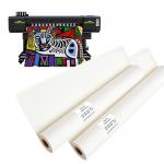 Eco Solvent Inkjet Printing High Durability Blank Matte 100% Polyester Canvas Rolls for sale