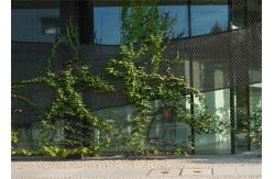China Weave X - Tend Stainless Steel Cable Mesh Customized Size Safety Netting supplier