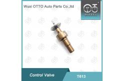 China T613 Bosch Common Rail Control Valve Applied 0445110551 supplier