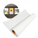 230mic Inkjet Printing 100% PET Backlit Advertising Film Roll For LED Light Box for sale