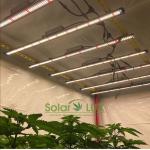 100w Horticulture Led Grow Lights for sale