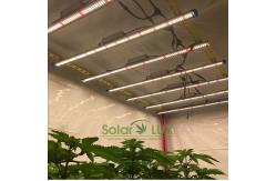 China 1000w  LED Grow Lights Daisy Chain T Cable Power Cord supplier