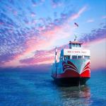 International FCL LCL From China To South America  Sea Freight Forwarder for sale