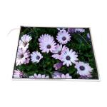 LTM15C503F 15.0 inch 1024*768 TFT LCD Screen Display for sale