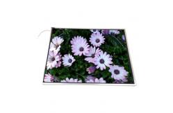 China LTM15C503F 15.0 inch 1024*768 TFT LCD Screen Display supplier