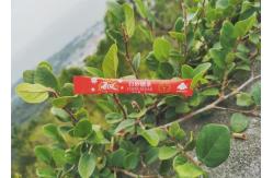 China Customizable 5g Disposable White Sugar Sticks supplier