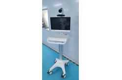 China Single Screen Medical Mobile Workstation Class I 1920x1080 iPS supplier