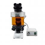 LED Light Fluorescence Microscope OPTO-EDU A16.2603-T2 1000X Trinocular for sale