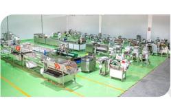 China Vegetable Processing Machine manufacturer