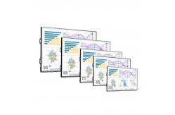 China Interactive Smart Whiteboard for Digital Classroom Learning supplier