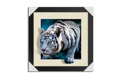 China home Decorative 3D Lenticular Printing Service CMYK Offset Printing supplier