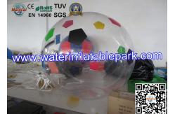 China Large Adults Human Hamster Jumbo Water Ball 2m Diameter or Customized supplier