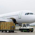 50 Kg DHL FEDEX UPS International Shipping From China To USA Canada for sale