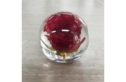 China Acrylic Flower Paperweight  Logo Customized For Decoration supplier