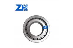 China R909156259 Cylindrical Roller Bearing P0 Precision supplier