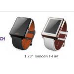1.73 Inch E Ink Paper Display , Smart Watch E Ink Display HINK-E0173A02 for sale