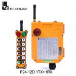 Telecrane F24-12D Industrial Radio Remote Control Tendam Crane Wireless Remote Control for sale