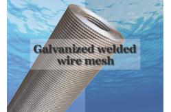 China 10 Gauge Galvanized Welded Wire Mesh Pr For Long Lasting Reinforcement supplier