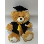 Graduation Bear Plush toy stuffed doll Baby comfort doll for sale