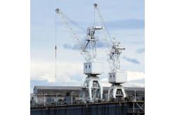 China Shipyard Floating Dock Portal Crane With Wire Rope Variation, Customized Design supplier