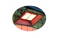 China 320*270*130MM Gas Poultry Chicks Warmer with Safety Protection Feature supplier