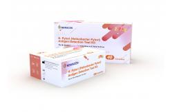 China 100% High Sensitivity 15min Colloidal Gold H Pylori Rapid Test Kit supplier