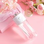 Double Layer 14oz Leak Proof Glass Water Bottle With Strainer