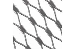 China Ferruled Rope Zoo Wire Mesh Fence Green Wall Mesh Safety Net Black Oxide supplier