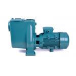 Swimming Pool High Pressure PPO Impeller Big Flow Water Filter Pump for sale
