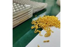 China Customized Golden Compression Coil Spring Gold Plating Surface Treatment supplier