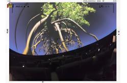 China VR Dome Cinema 4D 9D Flying Theater with Motion Seats supplier